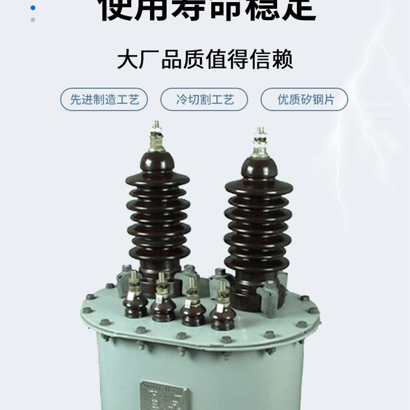 极速LJW(D)-10型电流互感器3kV-A12kV户外电流互感器 LJW(D)1-10