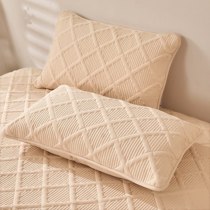 极速20a23新款夹棉枕套防头油防螨虫防枕芯发黄保护套信封内胆套4