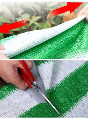 极速Anti-UV HDPE Shading Netz Awning Tarp Succulent Plant