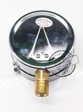 极速富阳膜盒压力表ye10010kpa天然气煤N气气化炉管道千帕微压表