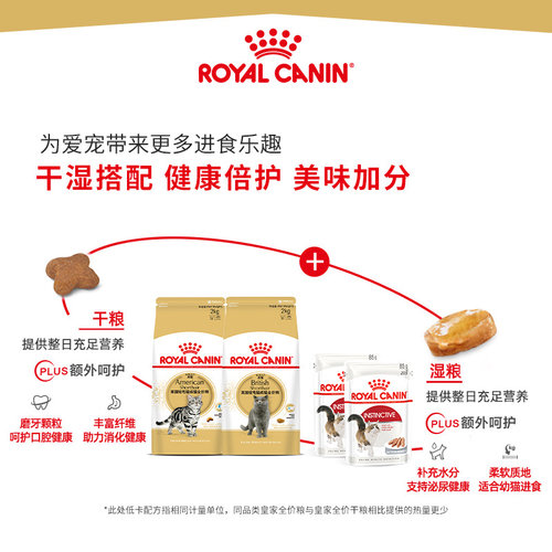极速皇家猫粮 英k短BS34美短成猫粮2kg 英国短毛猫主粮蓝猫
