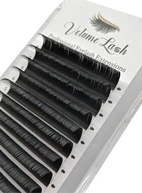 极速Ellipse Flajt Lashes Split Tips 3 Trays Ellipse Flat Ind