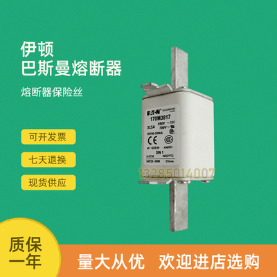 极速全新a快速熔断器保险170M3952 170M3953 170M3954 170M3955
