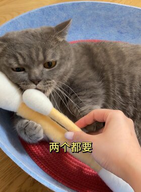 猫咪棉签玩具猫玩具自嗨解闷神器超大逗猫棒猫薄荷宠物磨牙洁齿