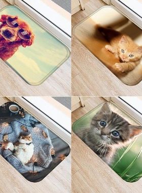 极速Floor Mati Mat Rug Doormat Door Carpet for Living Room