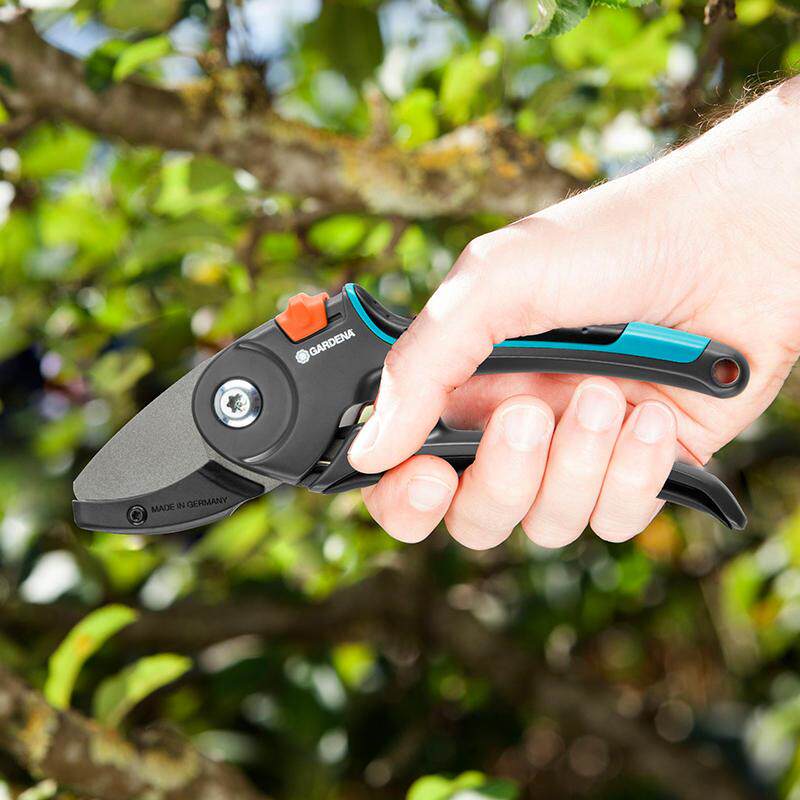 极速德国进d口嘉丁拿树枝剪刀修枝剪果树粗枝剪园林剪刀园艺省力