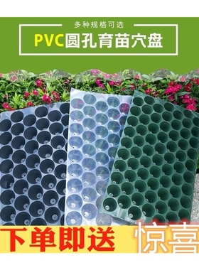 极速玉米育苗盘蔬菜瓜果育苗塑料PVCG圆孔穴盘100孔辣椒哈密瓜盘
