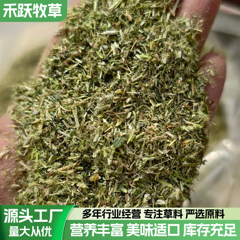 2025新苜蓿草粉4mm筛网10%以下