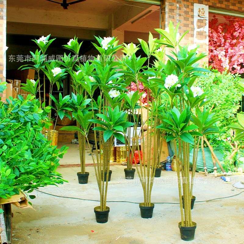 仿生真绿植鸡蛋花树盆栽室内外大小型仿真花仿真植物装饰摆件