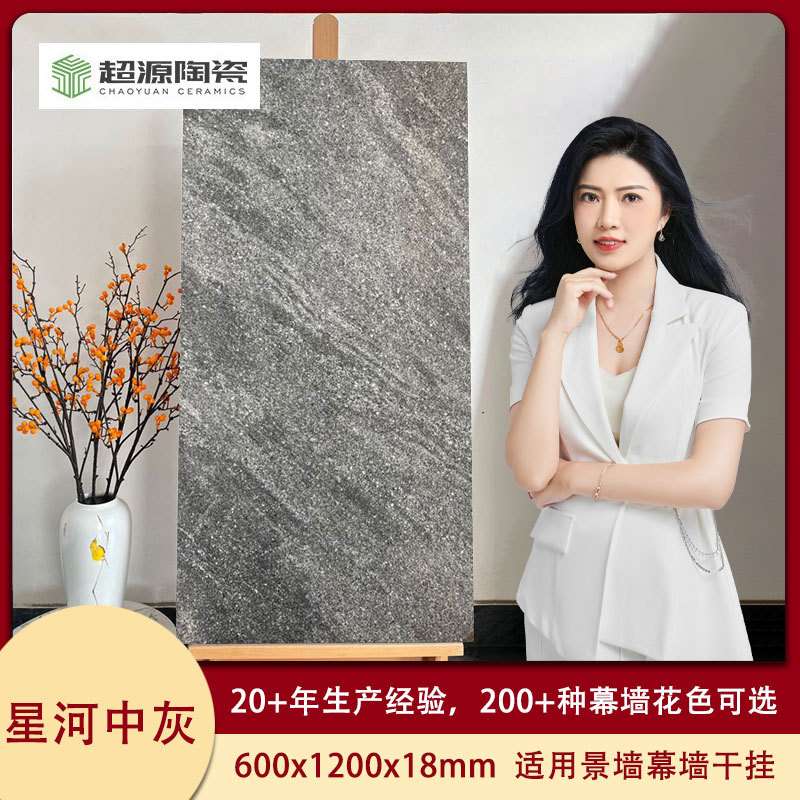 福建晋江仿花岗岩石材星河灰石英砖 600x1200x18mm陶瓷生态地铺石