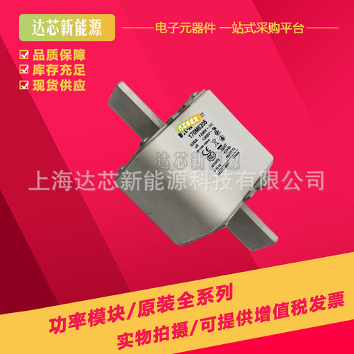 170M6238 170M6239 170M6240 170M6241全新巴斯曼熔断器,保险丝