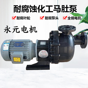 胜川宝PP塑料化工自吸泵马肚污水泵电镀污水泵永元 电机大头泵