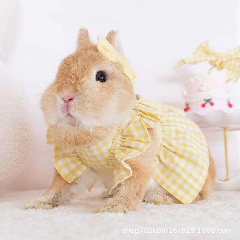 可爱波点兔子衣服外出装扮时尚格子裙保暖裙荷兰猪兔兔服饰牵引绳,宠物/宠物食品及用品,狗宠物服装/雨衣,淘宝优惠券,粉丝福利购,淘宝优惠卷