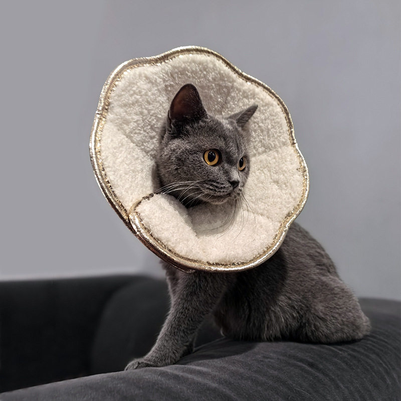 伊丽莎白圈猫咪绝育术后护理头套柔软EVA耻辱项圈 狗狗防舔咬脖套,宠物/宠物食品及用品,宠物伊丽莎白圈,淘宝优惠券,粉丝福利购,淘宝优惠卷