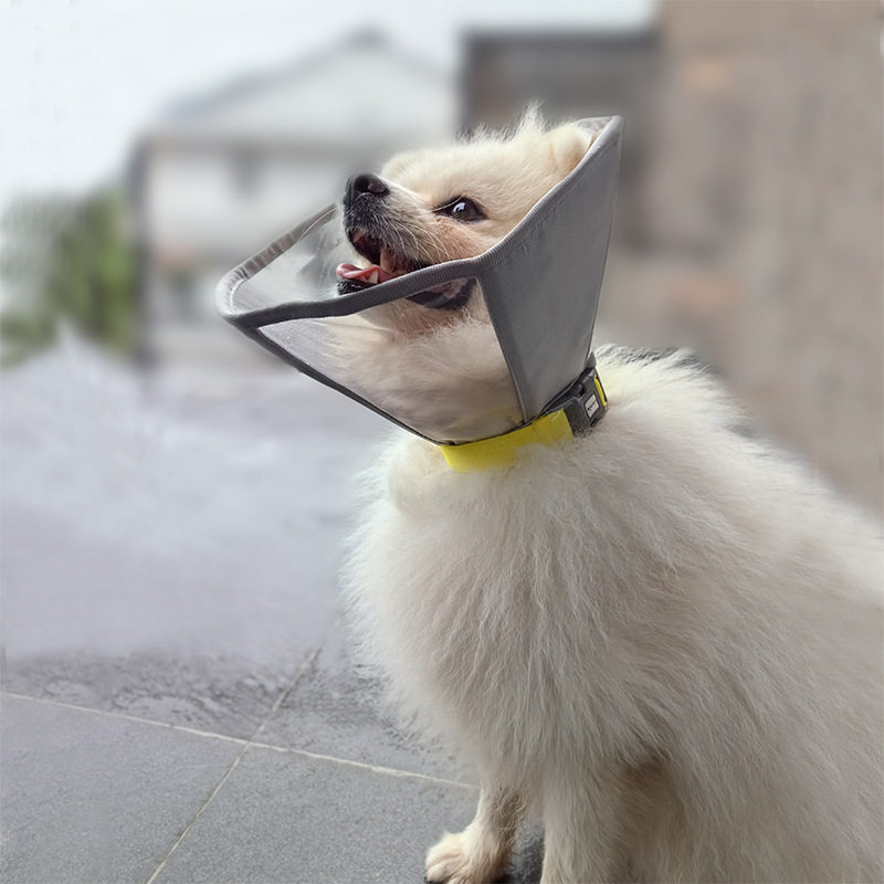 狗狗伊丽莎白圈加深可折叠绝育圈猫咪伤口护理防舔咬脖圈宠物用品,宠物/宠物食品及用品,宠物伊丽莎白圈,淘宝优惠券,粉丝福利购,淘宝优惠卷