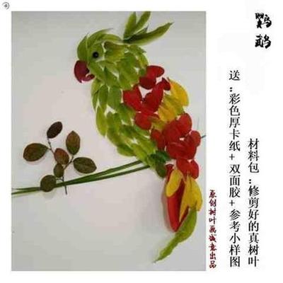 极速树叶拼贴画成品幼儿学生diyC材料手工作业新鲜树叶贴画孔雀蝴