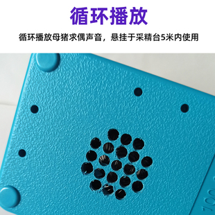 新品猪老大公猪诱情发q声器模拟母猪求偶声音刺激公猪更好的爬台