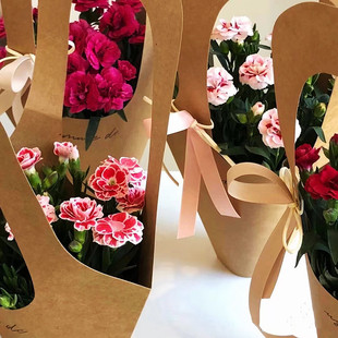 极速教师节礼物康乃馨鲜花盆栽带花苞欧石竹花苗石V竹花卉室内绿