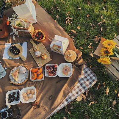 极速Outdoor Thicken Pard Blanket Camping Beach Plaid Picnic