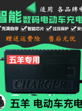 极速五羊电动车充电器36Vl12AH48V20AH60V32AH64V72V35AH30AH84V9