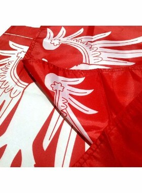 极速Austro Hungarian Sislesia State Flag 3X5FT Kingdom Dalma