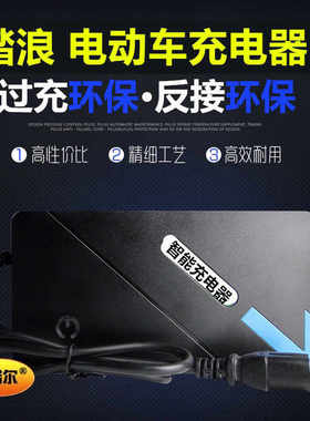 新品原装踏浪电动车充电器36V12AH48V20AH64VH60V35AH72V32AH84V9