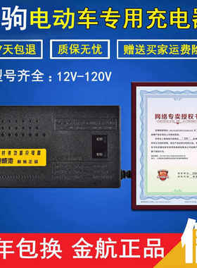 新品绿驹电动车电瓶原装充电器36V48V12AH60V64V72V80VS84V96V20A