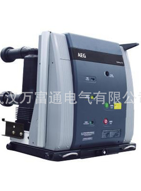 VL-12E/3150-31.5F AEG真空断路器