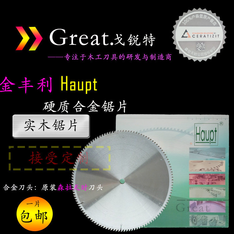德国进口HAUPT木工精切锯片405
