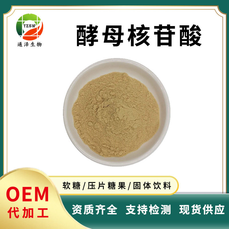 酵母核苷酸 酵母抽提物 核糖核酸 饲料级原料 大量现货核糖核酸