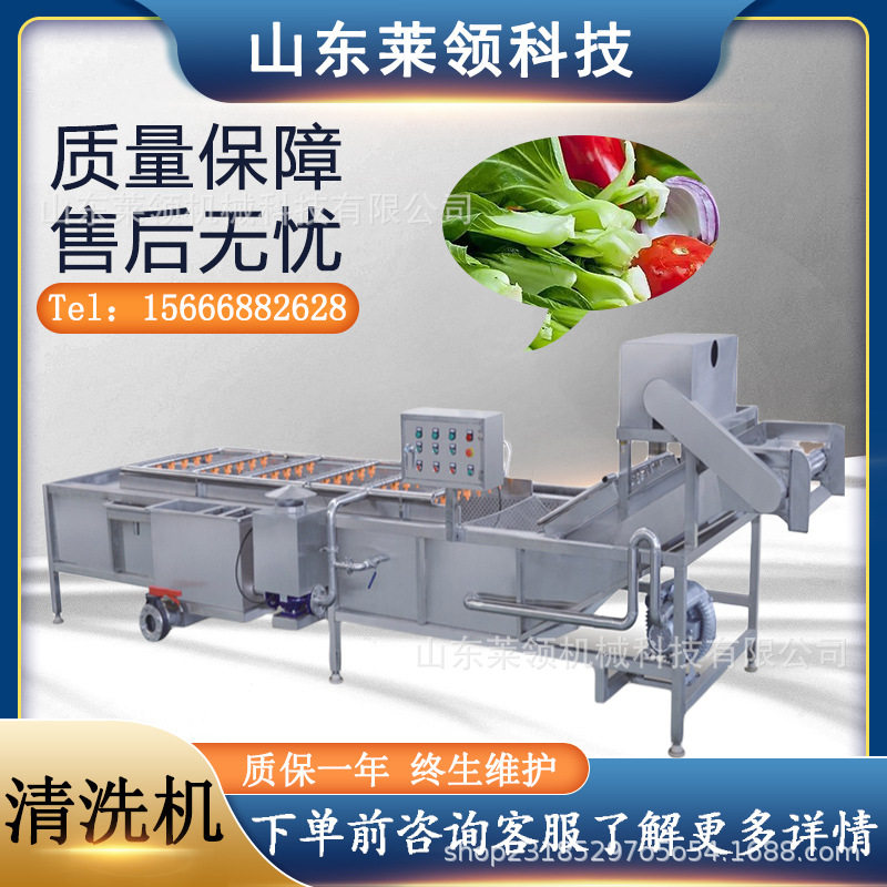 净菜深处理清洗设备叶类蔬菜去杂气泡清洗机循环水果蔬气泡清洗机