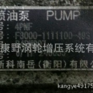 喷油泵F3000-B4PM907A3和4PM125A和1PG301-1111100B4PN98T10A