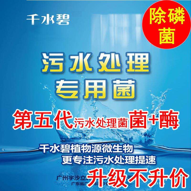 除磷菌生活污水处理菌第五代废水处理菌种污水处理菌种1000g
