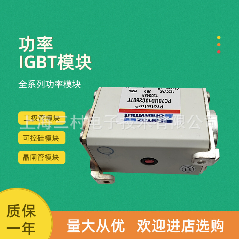 全新熔断器保险丝PC70UD13C250EFW300606 PC70UD12C315EF X300607