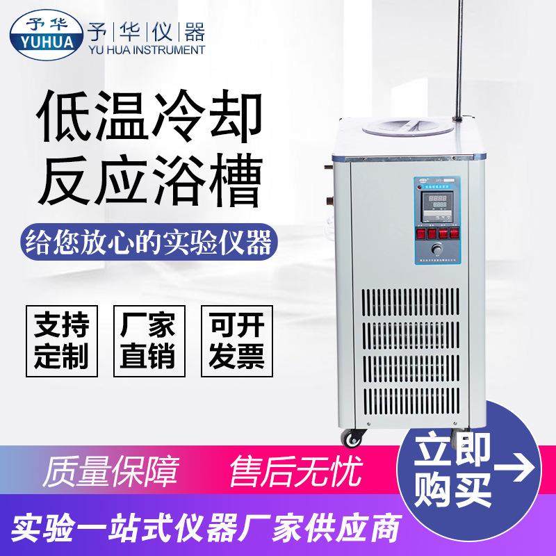 厂家直销DFY-50L/102030406080120低温冷却反应浴槽