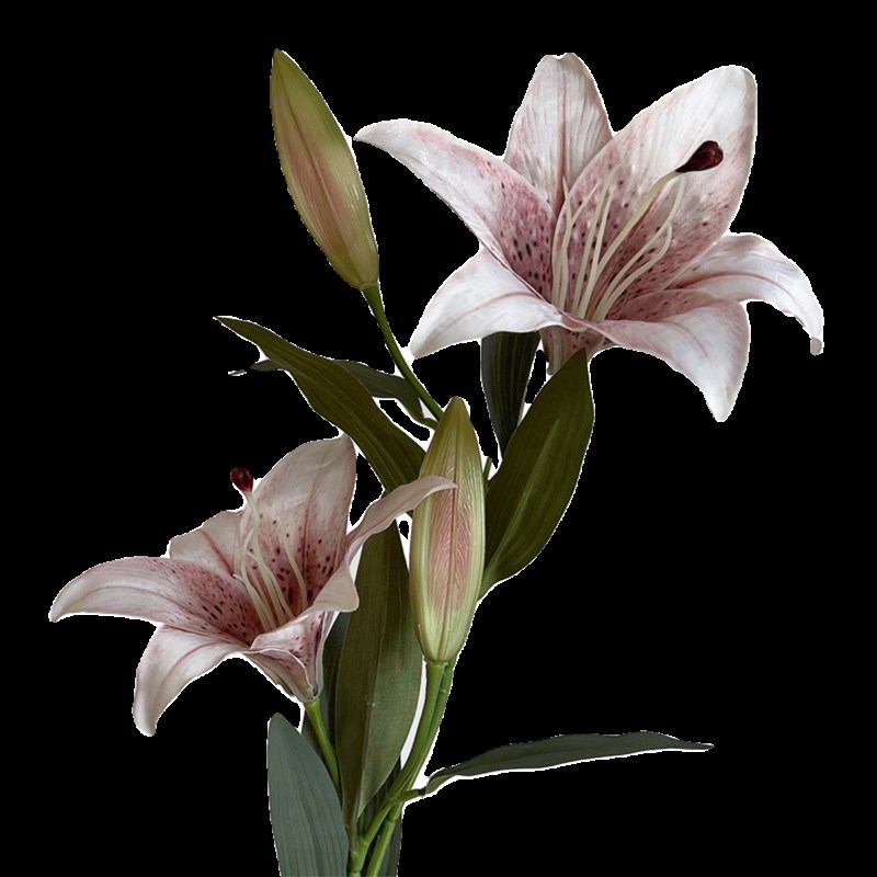 极速Click秋色百合仿真花装饰插花摆H件 高品质逼真酒店家居商业