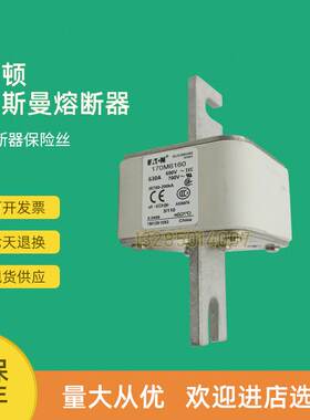 极速全新快速熔断器h保险170M6094 170M6103 170M6108 170M6109议