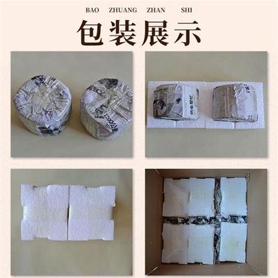 极速黑虫油葫芦蟋蟀蛐蛐罐竹蛉马蛉鸣虫叫罐螽斯罐玩X赏宁阳两个