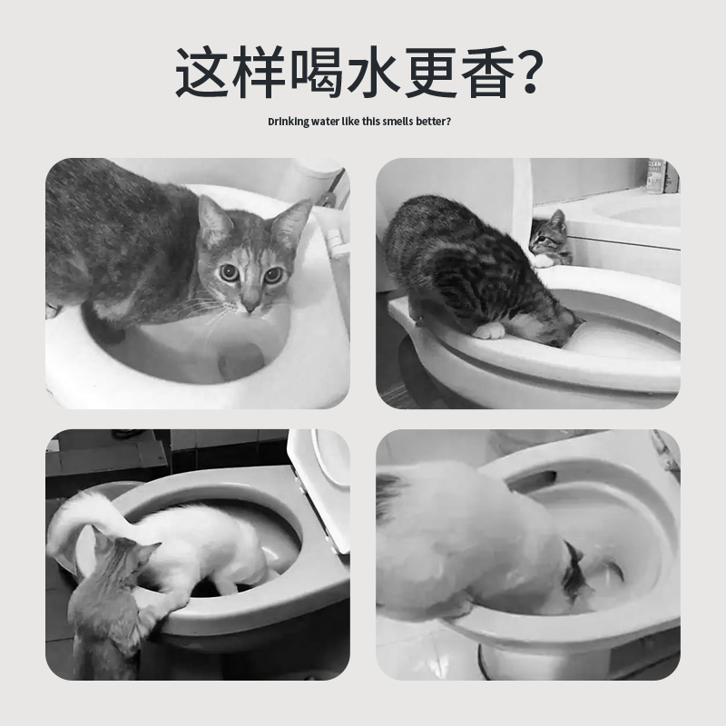 极速猫咪a饮水机自动循环流动饮水器宠物喝水器狗狗水盆猫水碗一