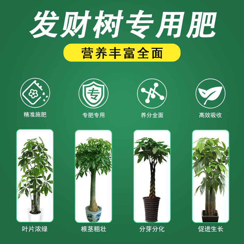 极速发财树肥料专用肥室内u家用金钱树盆栽花肥料幸福树颗粒防黄