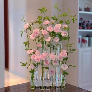 简约创意一排试管玻璃花瓶透明轻奢玫瑰百合客厅桌面插花水培器皿