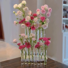 试管玻璃花瓶透明折叠网红ins水培花器郁金香组合一排摆件装饰品