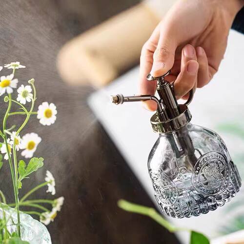 浇花按压家用复古玻璃小型喷壶
