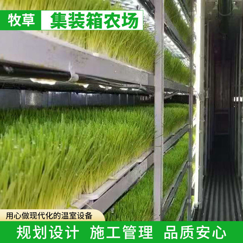 养殖场牧草集装箱植物工厂无土栽培种植物设备智能水培立体温室