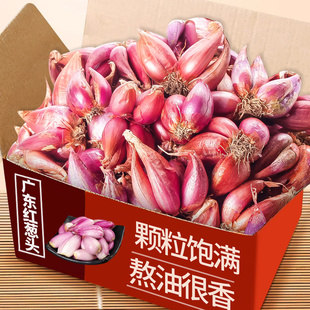 头茬红葱头老农精选干葱头火葱小香葱熬葱油特香籽可种可食可熬油