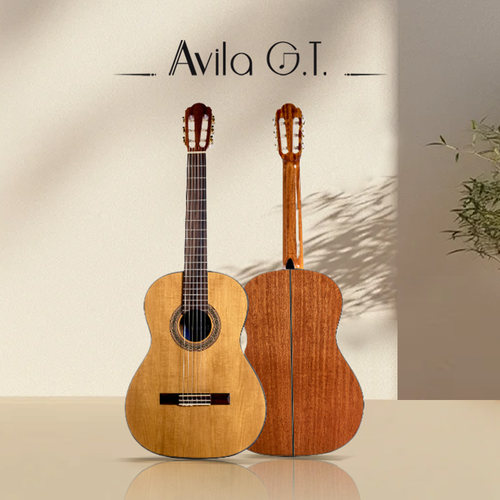 阿维拉(avila)吉他AC-510