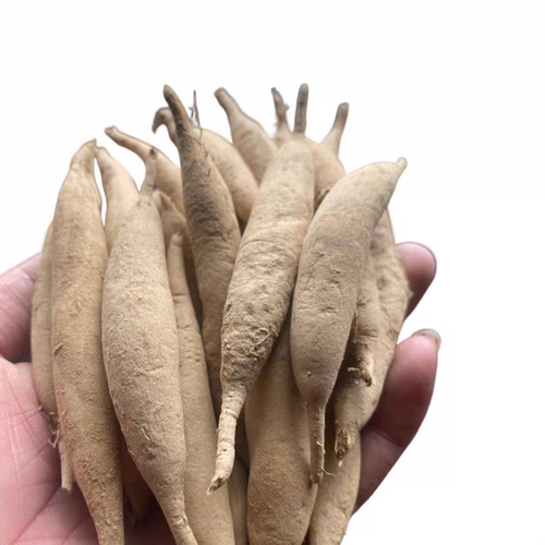 云南天门冬新鲜天冬中药材冬草泡酒现挖酿酒榨汁500g包邮非种植