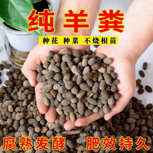 纯羊粪颗粒有机肥花卉绿植通用肥