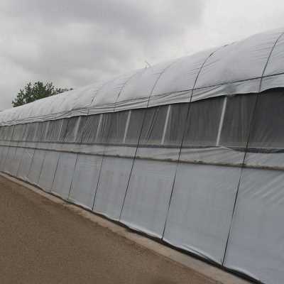 极速新厂促品农用保温大棚膜 y大棚膜薄膜家禽养殖大棚膜黑白颜色