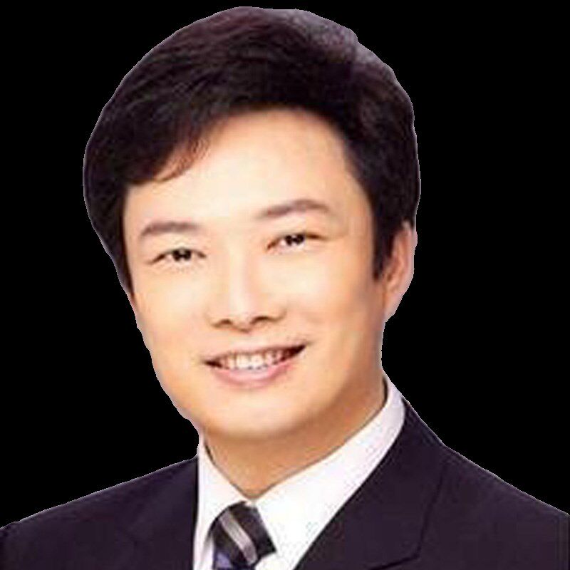 新品许昌全手织手勾假发真发全真B人发男士三七分中老年爸爸全头